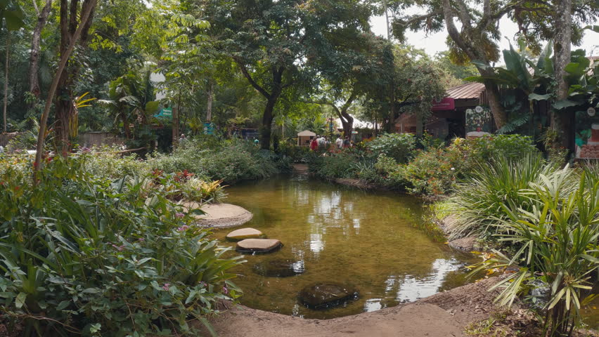 Tropical garden with artificial pond