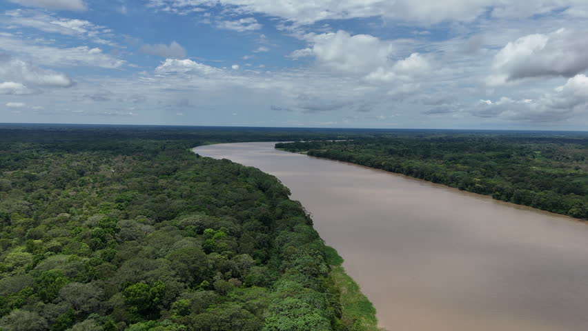 A winding river cutting through dense forest in the Amazon. Partly cloudy skies add depth to the scene. Suitable for environmental documentaries or educational content.
