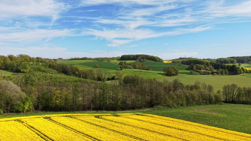 Picturesque rural scenery with rolling hills, canola fields, forests, and a bright blue sky