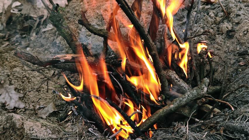 Close up of burning campfire logs with bright orange flames