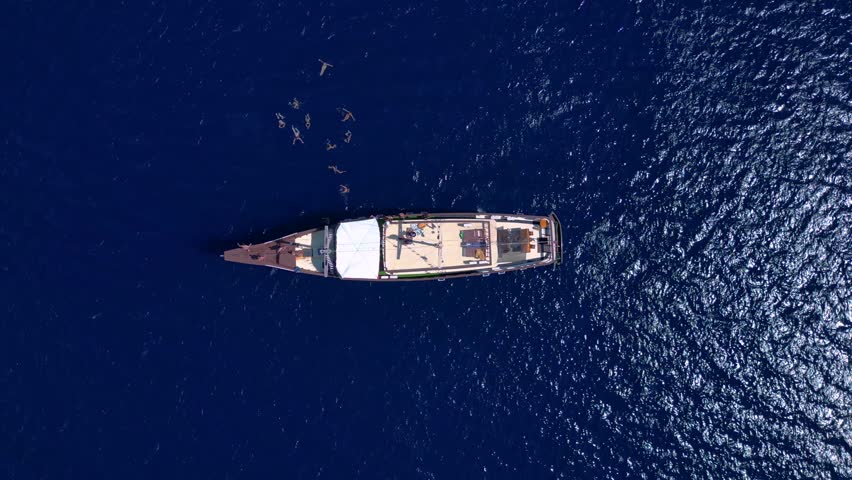 people jump and swimming off luxury boat in open sea. Lovely aerial view drone