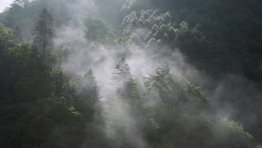 Morning mist lit by sunrise over a lush forest in Nakanojo, Gunma, Japan, creating a calm summer mountain landscape.