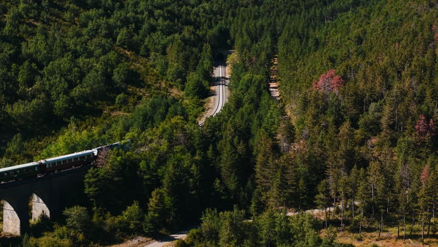Canfranc railway passenger train crossing a viaduct and entering a tunnel in a forest
