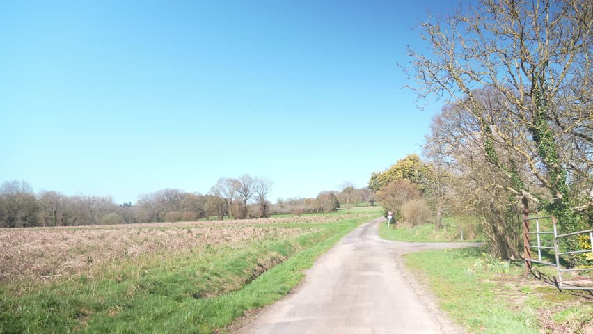 Peaceful rural country lane winding through agricultural fields on a bright sunny day with clear blue sky. Bare trees line the countryside road in early spring, creating a serene pastoral landscape. Green grass borders the narrow lane with harvested farmland stretching into the distance. Perfect representation of tranquil countryside scenery and rural life.