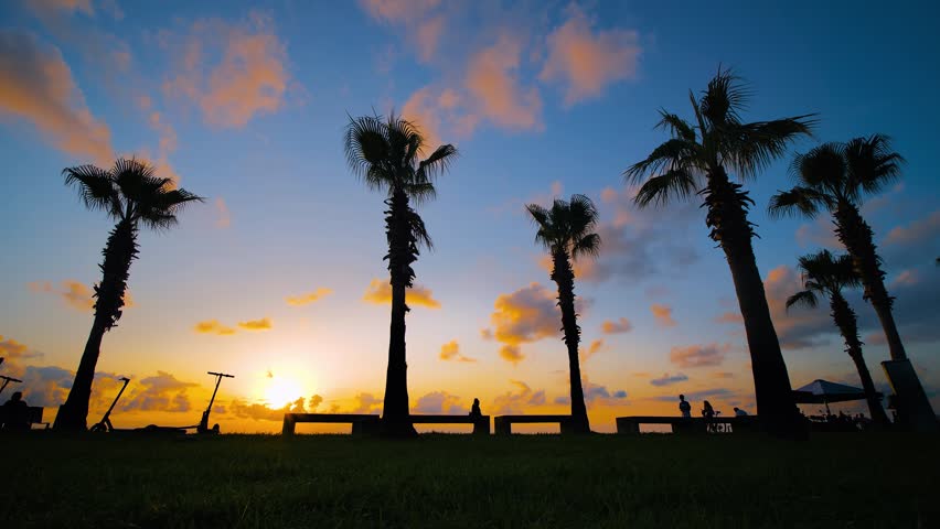 Silhouettes of palm trees on the embankment of the resort town at sunset. Unrecognizable people are walking along the waterfront against warm sky - sun lens flares. Vacation and tropical concept