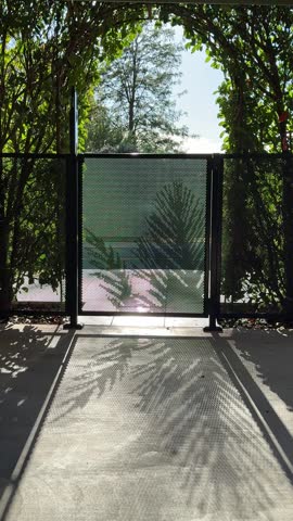 A black mesh gate and metal archway covered in climbing vines creates a dramatic entrance to a garden pathway, with intricate shadow patterns cast on the textured ground surface and trees visible in the bright background beyond.