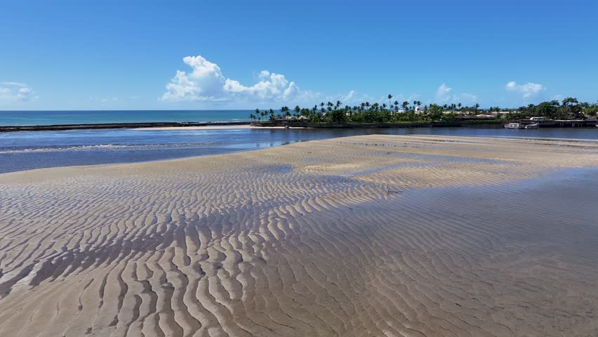 Porto Seguro Skyline At Porto Seguro In Bahia Brazil. Mangrove Skyline. Beach Landscape. Beautiful Sandbanks. Porto Seguro Skyline In Porto Seguro In Brazil. Nature Seascape. Brazil Northeastern.