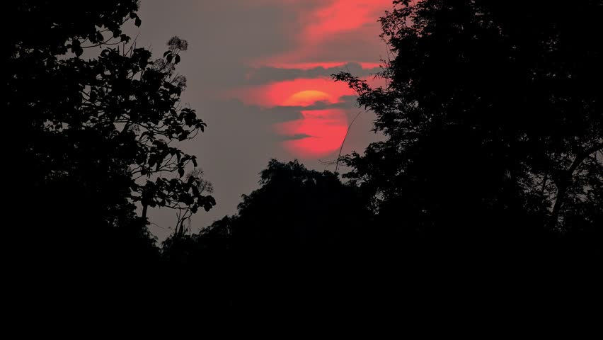 Silhouette of trees against a fiery red sun at sunset. Beautiful natural landscape at dusk with vibrant warm colors.