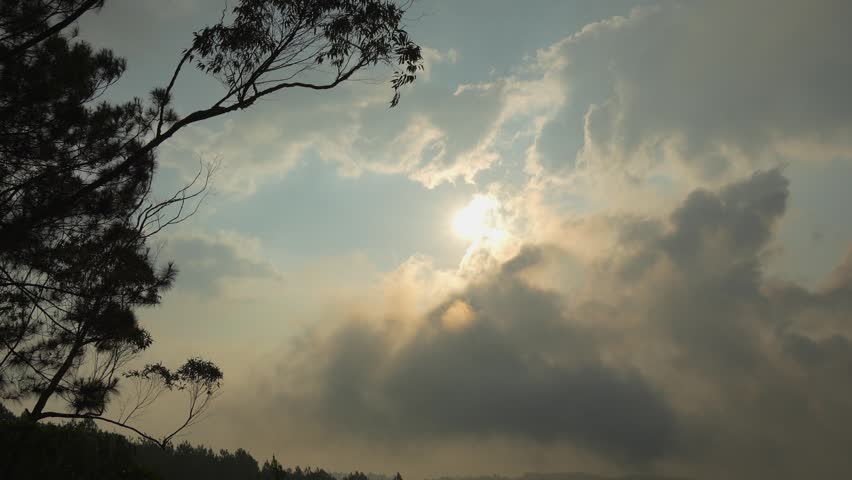 Atmospheric Fog Rolling Over Pine Forest Hills at Sunset, Cinematic Nature Landscape.