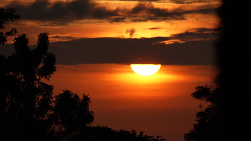 Time lapse of a golden sunrise over silhouetted trees and clouds moving across the sky. Vibrant morning transition from dark to light.