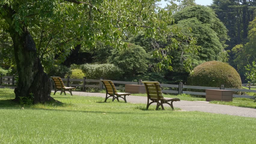 Empty Wooden Benches Along Paved Path In Shinjuku Gyoen National Garden, With Manicured Bush And Lush Green Lawn. wide shot