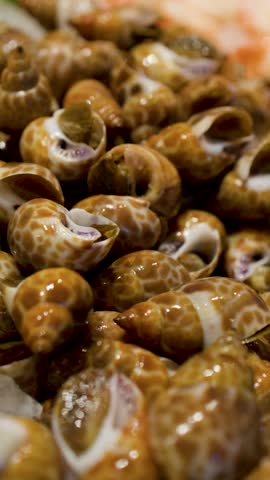 Close-up shot of a hand using metal tongs to select sea snails from ice