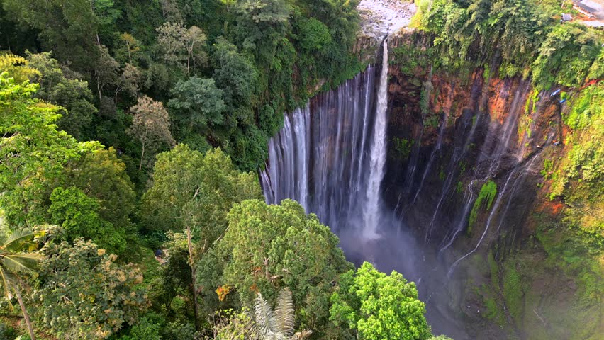 Aerial drone view of Tumpak Sewu waterfall in East Java, Indonesia. Spectacular curtain waterfall surrounded by dense tropical jungle and cliffs, showcasing powerful cascading water and natural beauty