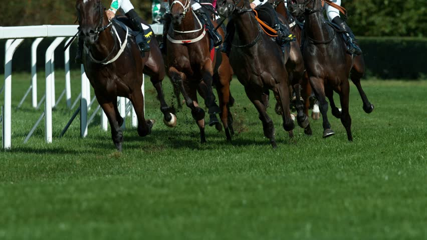 Super Slow Motion of Running Horses on Derby in Detail of Horses Legs. Filmed on High Speed Cinema Camera, 1000 fps. Outdoor Race.