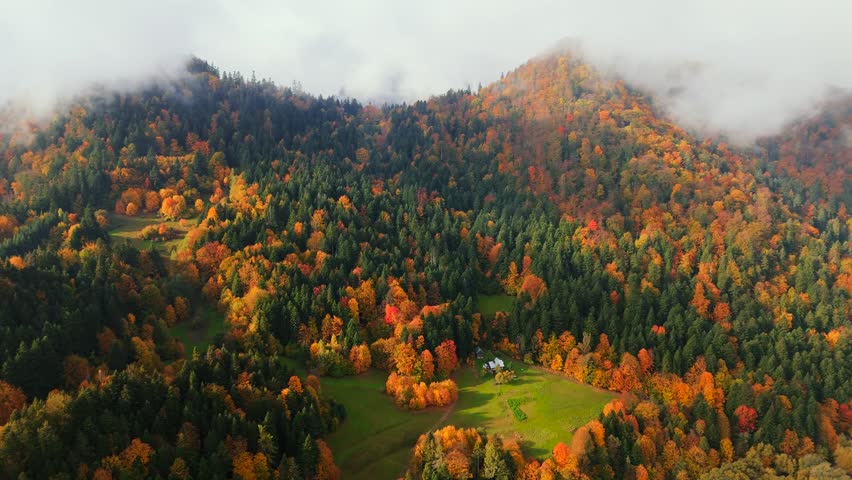 Gorgeous colourful autumn in the mountains. Pieniny, Poland