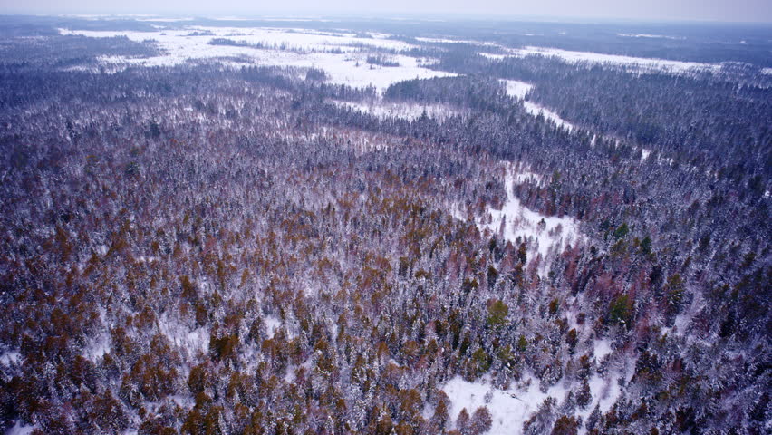 Northern Michigan landscape in cold winter conditions