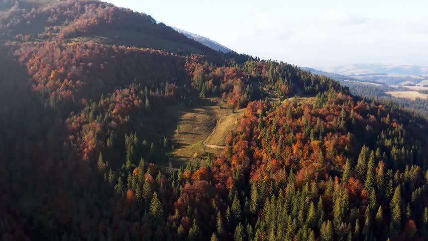 Highlands and hills with terracota forests under blue sky