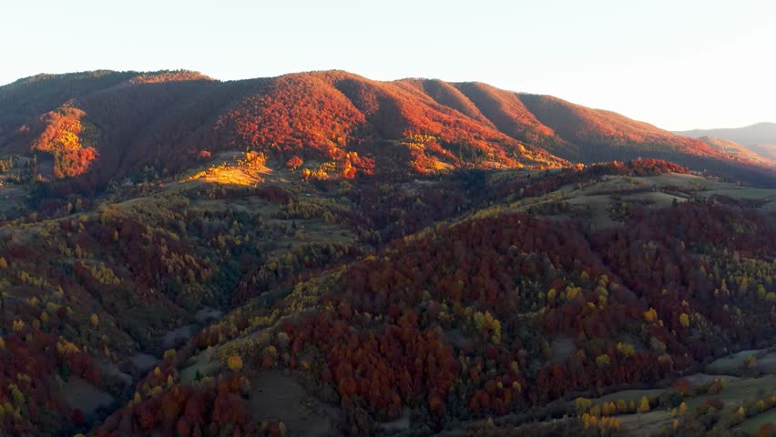 Mountain highlands with trees in autumn forest at sunrise