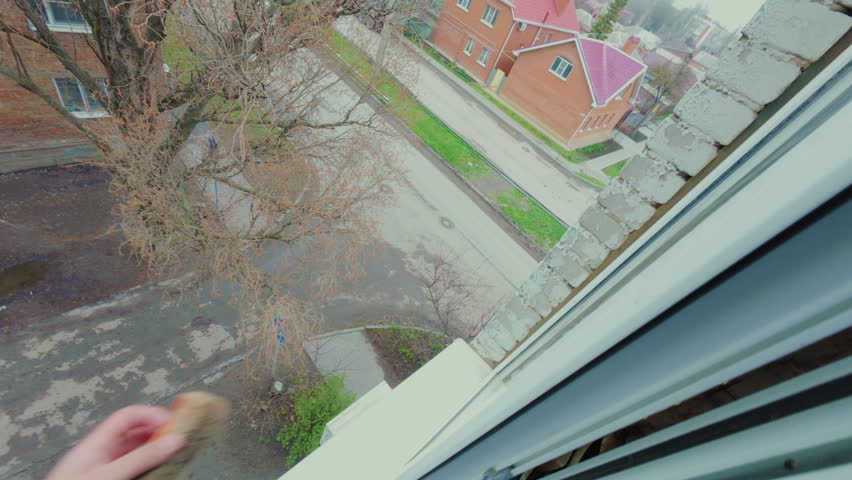 A man washes the glass of a plastic window outside the apartment with a sponge. The cleaner provides cleaning services for dirty windows at height. From the first person.