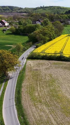 Aerial view of two people cycling on a rural road next to a blooming yellow canola field in spring