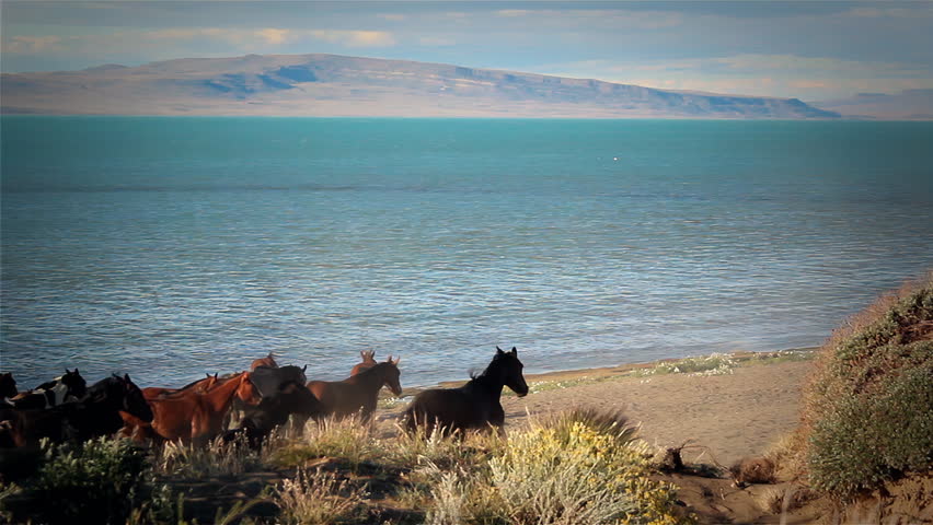 Dusty Road Scene With Gauchos And A Herd Of Horses In Southern Argentina - 4K