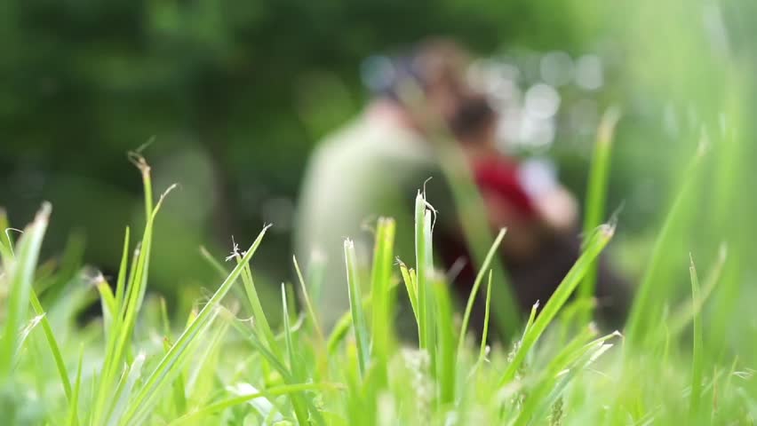 A blurred, artistic shot of a family sitting on the lawn, emphasizing the peaceful atmosphere of outdoor activities and nature.