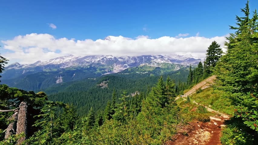 panoramic view of the snow-capped Mount Rainier and the surrounding lush green forest from the steep and scenic Pinnacle Peak Trail in Mount Rainier National Park, Washington, USA.