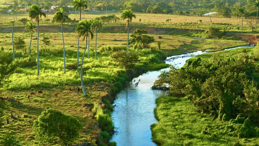 River landscape in a mountain valley. Forest stream. River in the forest. Small stream among tropical trees. Drone view of a river bend in a forested area on a sunny evening.