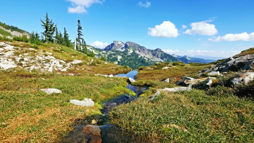 view of a small, horseshoe-shaped pond or stream in an alpine meadow with vibrant green and golden grasses. In the background, rugged, rocky mountain peaks rise under a bright blue sky with white, flu