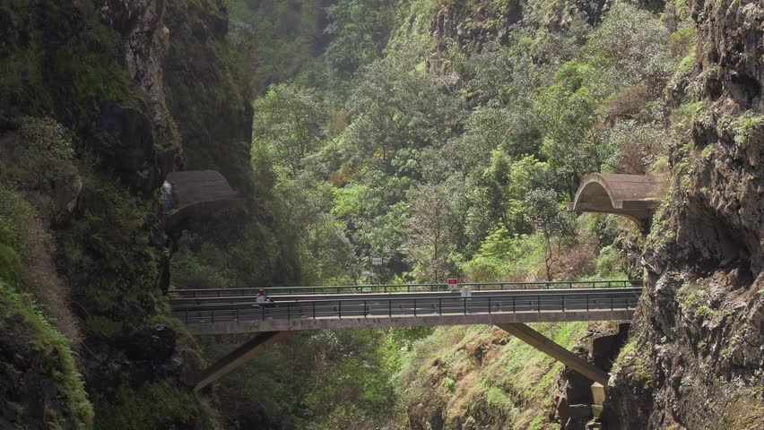 Scenic wooden footbridge crossing a lush forested canyon with steep moss-covered cliffs in Madeira. Serene nature landscape with verdant