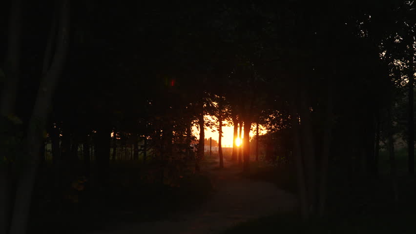 Warm setting sun over horizon shining through small gap in dense forest. Picturesque fairytale exit of path from thick forest in evening. End of day and descending into darkness.