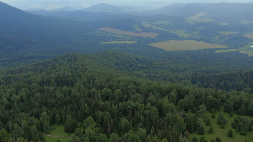 Drone footage flying over dense taiga forest and patchwork farmland near Manzherok Mountain, Altai Republic, Russia, showing summer greenery and hills