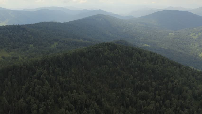 Drone footage of dense coniferous and mixed forest covering rolling mountain ridges at Manzherok Mountain, Altai Republic, Russia, in soft summer haze