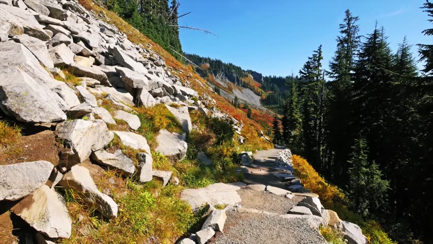 Footage of a scenic hiking trail near Reflection Lakes in Mount Rainier National Park during the vibrant autumn season. The path is lined with large rocks, evergreen trees, and colorful fall foliage i