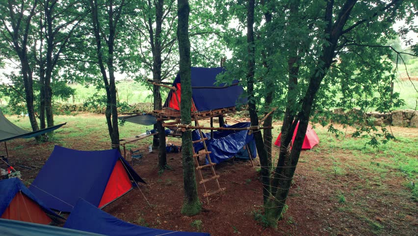 Camping Tent in the Forest