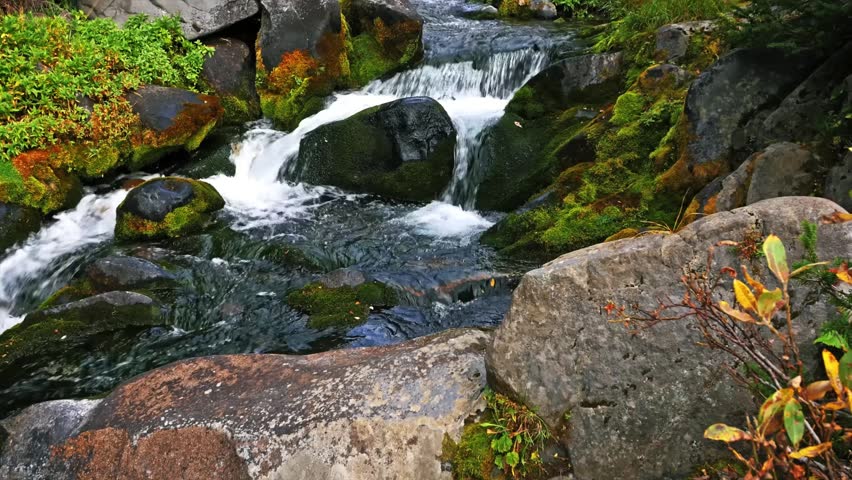 Scenic footage of a refreshing stream flowing over moss-covered rocks in the lush wilderness of Mount Rainier National Park, Washington State, USA. The crystal-clear water cascades down a series of sm