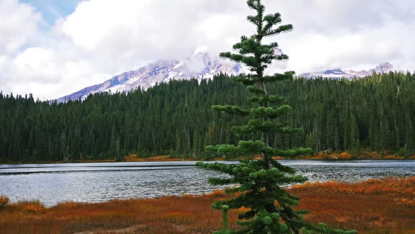 Footage capturing the stunning, iconic view of Mount Rainier as it is perfectly mirrored in the calm waters of Reflection Lakes in Mount Rainier National Park, Washington State. 