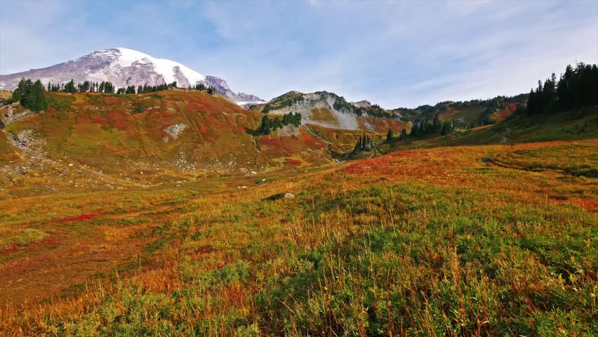 Footage captures the stunning autumn landscape of the Paradise area in Mount Rainier National Park, Washington. The view looks across a valley of vibrant orange, gold, and green alpine meadows towards