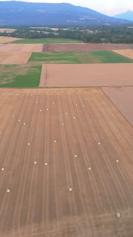 Aerial view of round hay bales scattered across agricultural fields with mountains in the background under soft evening light in Geneva, Geneva, Switzerland.