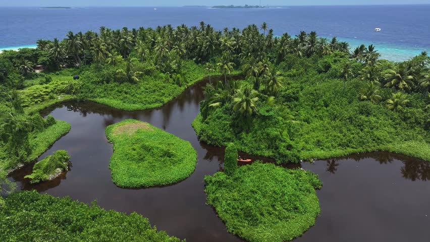 Aerial view of a lush tropical island featuring a dark inland lagoon and dense palm forests in Kamadhoo, Baa Atoll, Maldives.