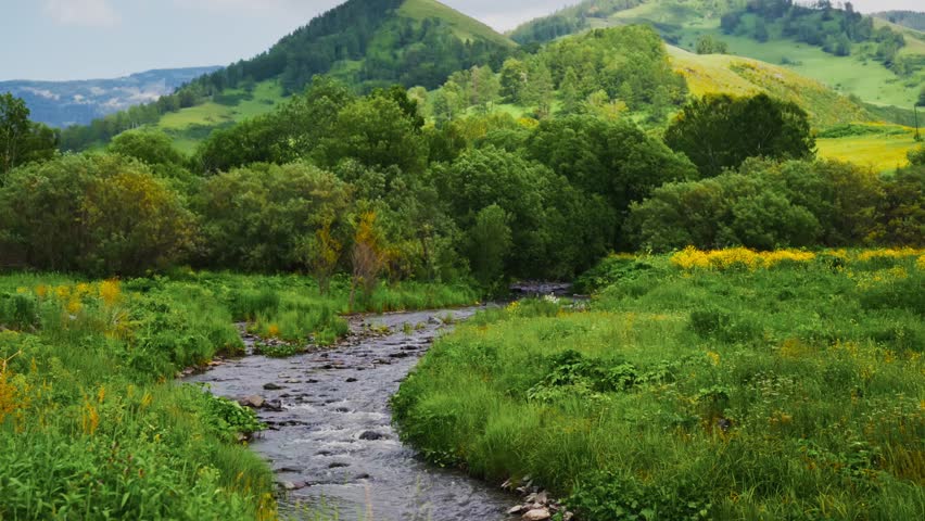 Gentle stream flows through lush green meadows. Trees and wildflowers line the water