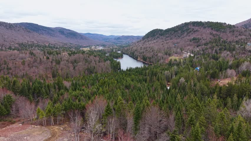 vast canadian mountain forest with evergreen textures from aerial view