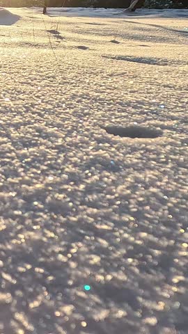 Camera tilts up over flat snowy field with visible footprints revealing wide winter landscape under warm low sun and partly cloudy sky at golden hour