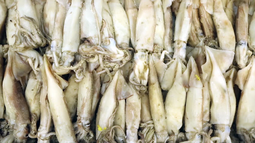 A high-angle, full-frame video footage of a large pile of fresh raw squids at a traditional seafood market in Seoul, South Korea. This clip captures the natural texture and wet, organic detail of the cephalopods, highlighting the authentic atmosphere of local fish markets and healthy seafood ingredients during the day.