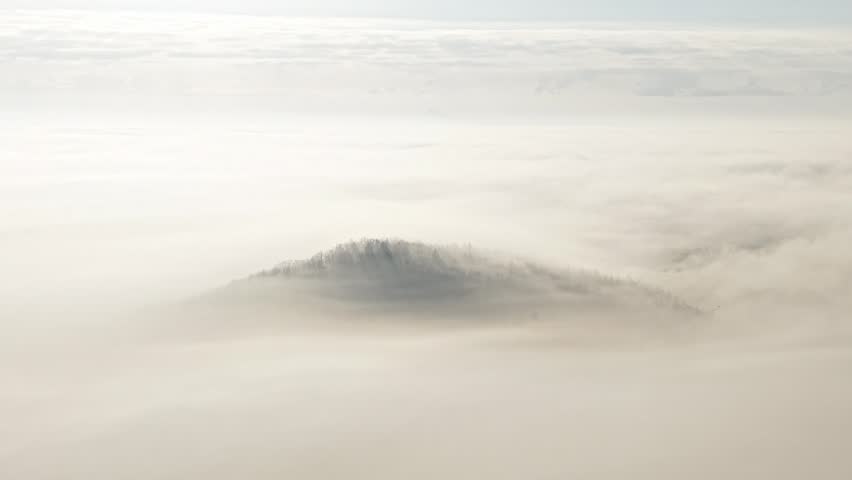 Cloudy view of a forest in a heavy fog