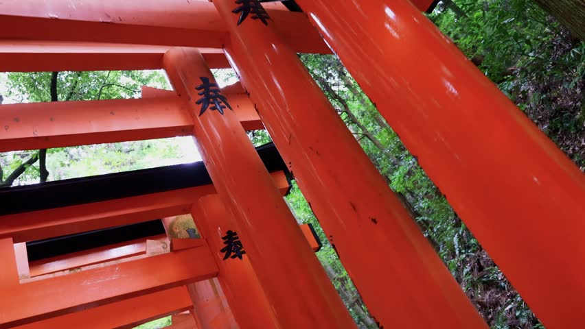 Fushimi Inari Taisha Torii Path. Repeated red columns and stone steps surrounded by dense greenery in iconic Shinto shrine complex Kyoto, Japan, 4k
