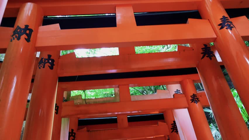 Leading vermilion torii gates forming ascending pathway through forest at Fushimi Inari Taisha in Kyoto Japan under soft daylight, Kyoto, Japan, 4k
