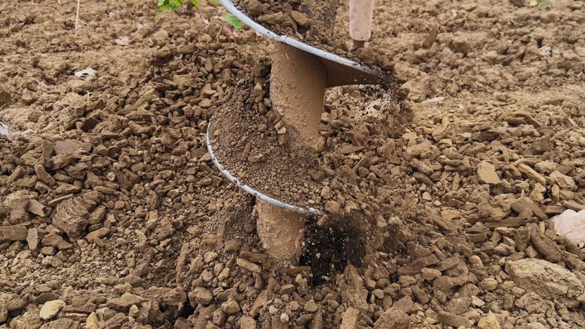 Close view of auger drill bit coming out of ground with soil falling off spiral blades, showing completed drilling process in a rural agricultural setting
