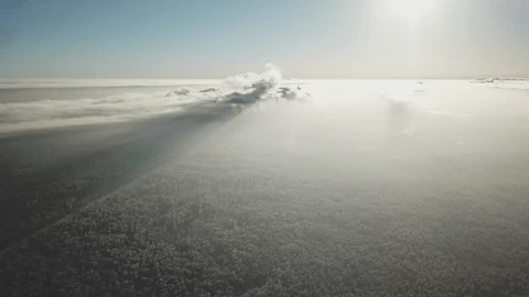 Aerial Drone Sideways Flight over Snowy Forest