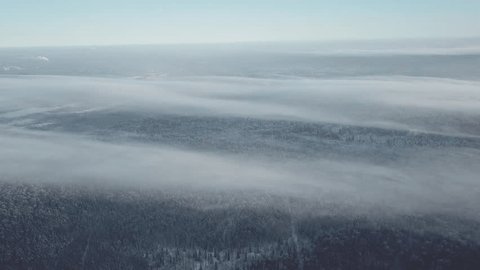 Drone Flying Forward Above Foggy Forest in Winter